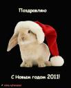post-752-085166700 1293913528_thumb.jpg