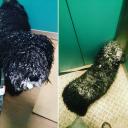 post-2245-0-14958600-1456159472_thumb.jp