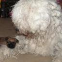 post-802-059913300 1299499969_thumb.jpg