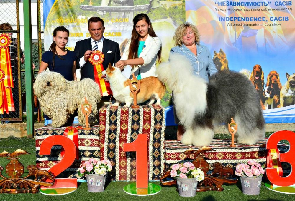 БИГ_2.jpg