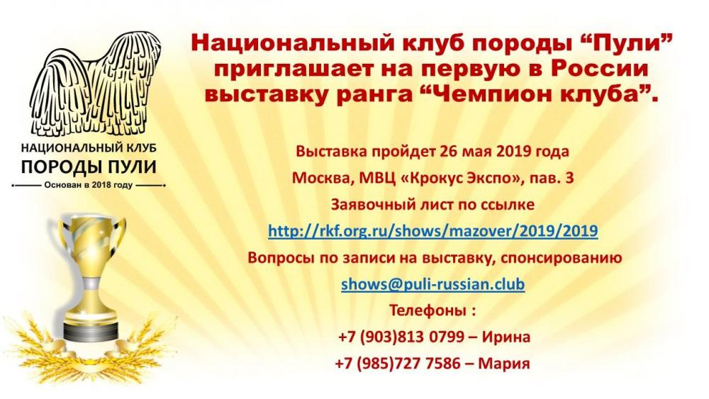 Выставка ЧК2.jpg