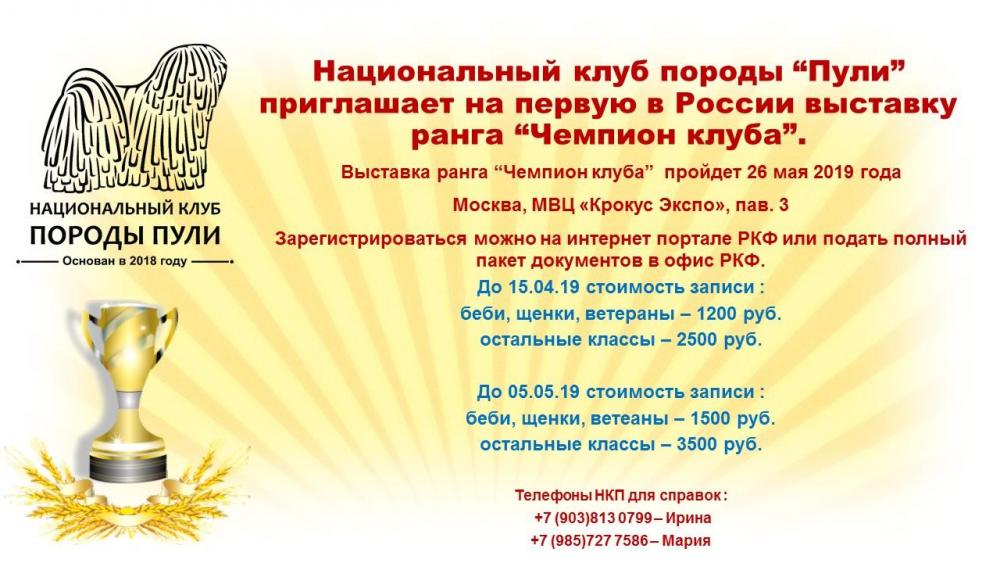 Выставка ЧК3.jpg