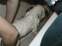 post-5-1126457111_thumb.jpg
