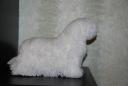 post-58-1231271453_thumb.jpg
